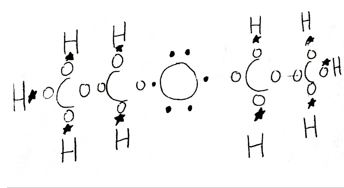 Lewis Structure The Diethyl Ether Molecule